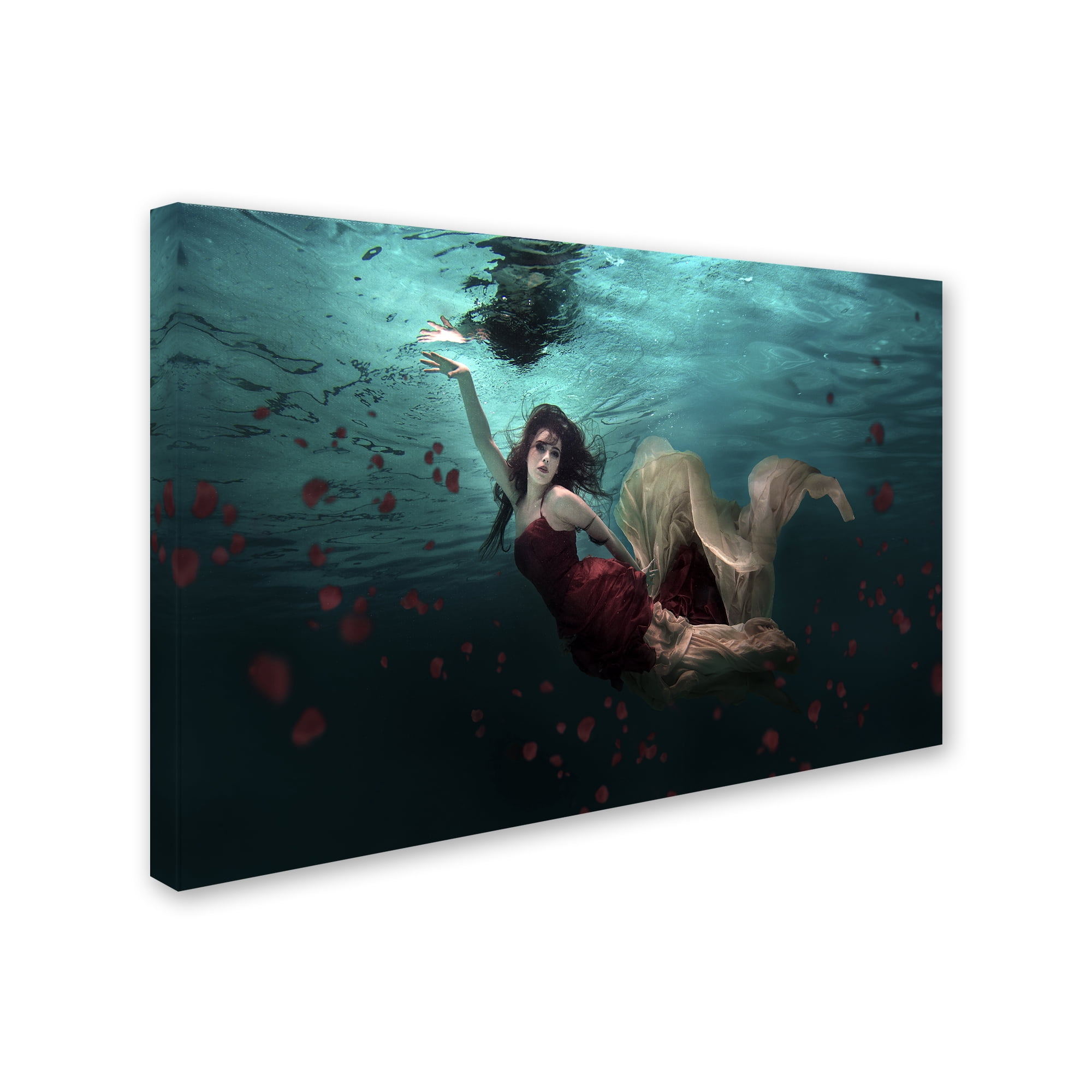 Trademark Fine Art 'Ocean Of Roses' Canvas Art by Martha Suherman