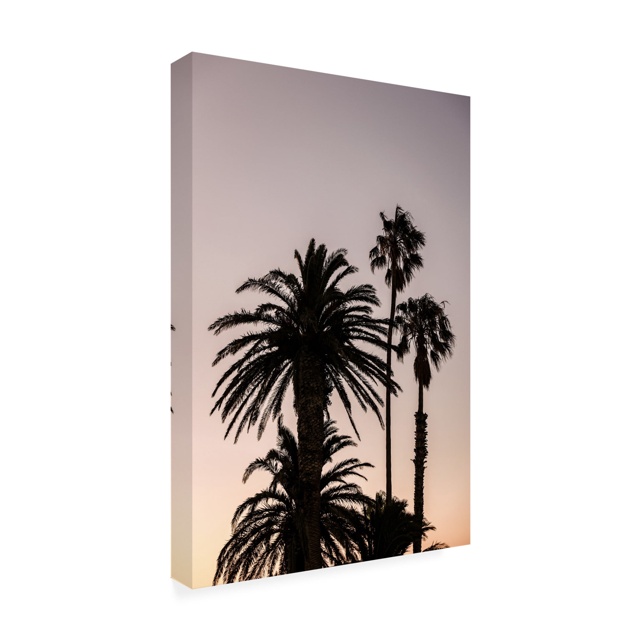 Trademark Fine Art Shot by Clint Sea Point Canvas Wall Art