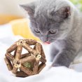 thumbnail image 5 of Catnip toys kitten teeth cleaning tools cat chew toys, 5 of 5