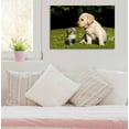 thumbnail image 2 of wall26 - Canvas Prints Wall Art - Dog and Cat | Modern Wall Decor/Home Decoration Stretched Gallery Canvas Wrap Giclee Print. Ready to Hang - 24" x 36", 2 of 4