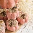 thumbnail image 4 of Diceymbol Velvet Pumpkin Decoration Mini Desktop Decor 3.54x3.14 Inch, 4 of 8