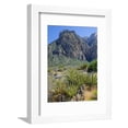 thumbnail image 1 of Spring Mountains, 15 Miles West of Las Vegas in the Mojave Desert, Nevada, USA Framed Print Wall Art by Fraser Hall Sold by Art.Com, 1 of 5