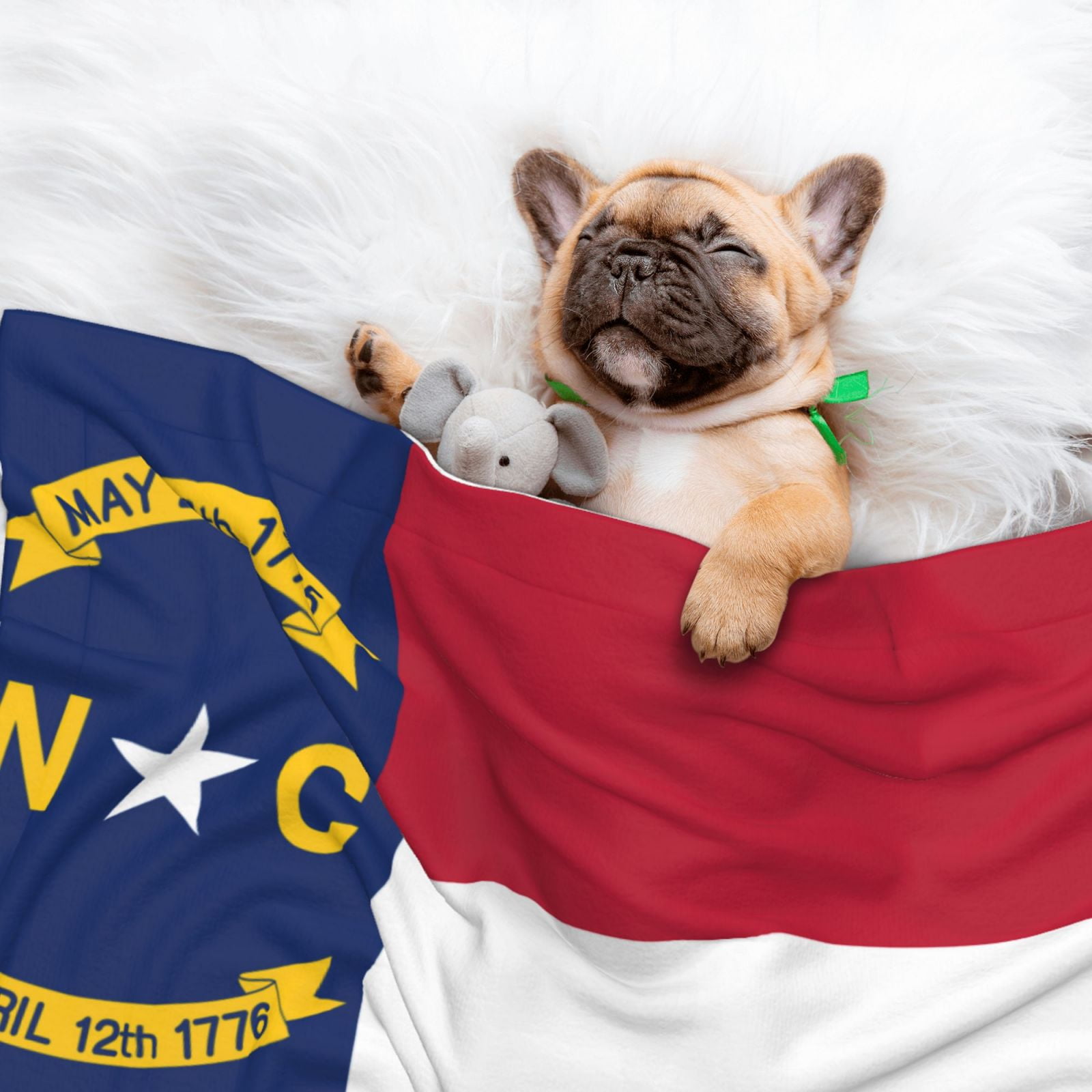 Flannel Throw Dog Blanket North Carolina Flag Soft Warm Print Pet Blankets for Small Dog Cat Puppy