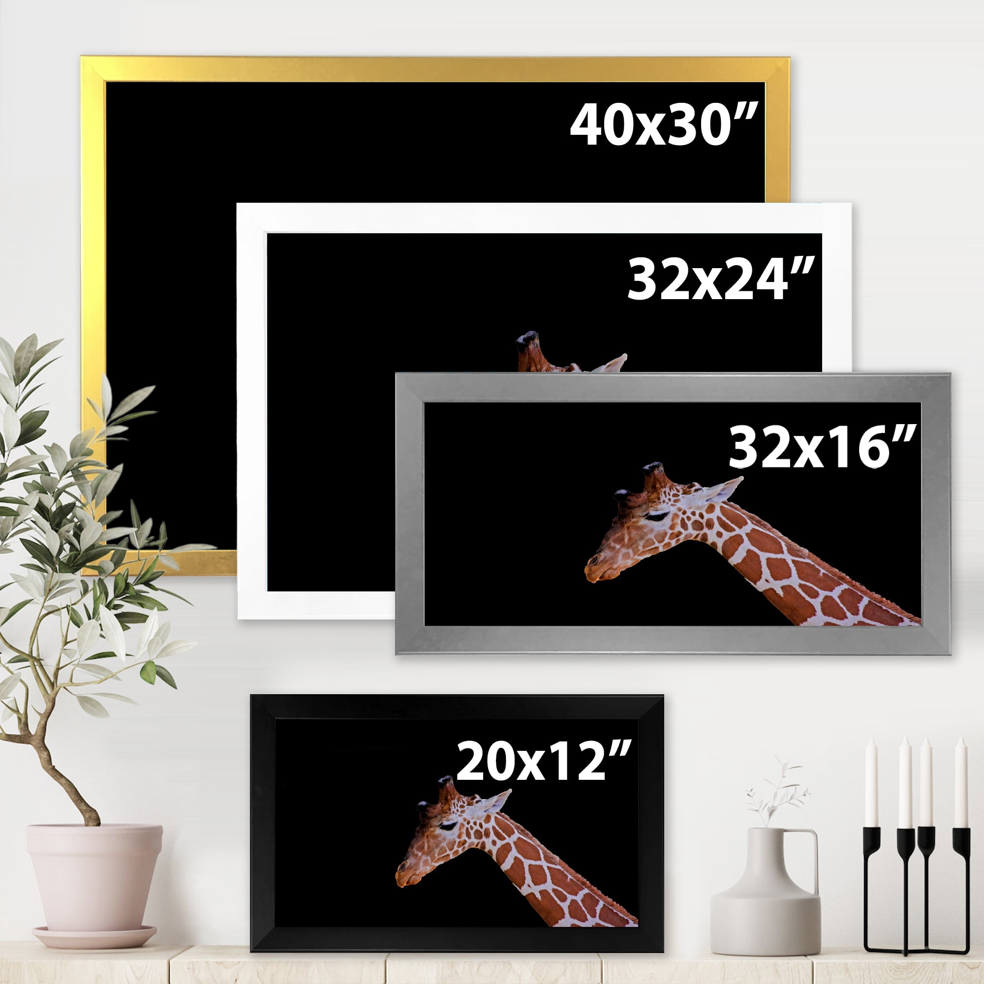 Designart 'Portrait of A Giraffe On Black Background I' Farmhouse Framed Art Print