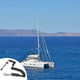 thumbnail image 5 of Advancent Correa de paleta de aleación de plástico elástica retráctil plegable portátil correa en al aire libre barco de mar canoa Deportes acuáticos Negro, 5 of 6