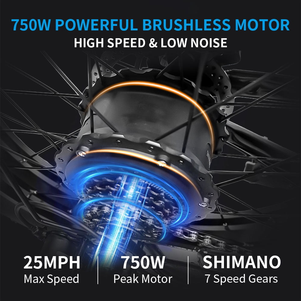 750W Electric Bike for Adults 20X4.0 Fat Tire Off-Road E bike Mountain Bike for Outdoor Cycling