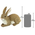 thumbnail image 5 of Design Toscano QM200861 Bashful the Bunny Lying Down Rabbit Outdoor Garden Statue, 10 Inch, Polyresin,full color, 5 of 5
