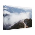 thumbnail image 2 of Laura Marshall 'Hurricane Ridge III' Canvas Art, 2 of 4