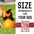 thumbnail image 5 of Jolly Pets Push-N-Play Ball Red 10 inch Hard Plastic Chew Toy for Dogs, 5 of 7