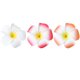 thumbnail image 3 of GOOHOCHY 12 pinzas para el pelo con diseño floral para tocado de fiesta hawaiana, horquillas trenzadas de moda, pinzas elegantes para flequillo, 3 of 7