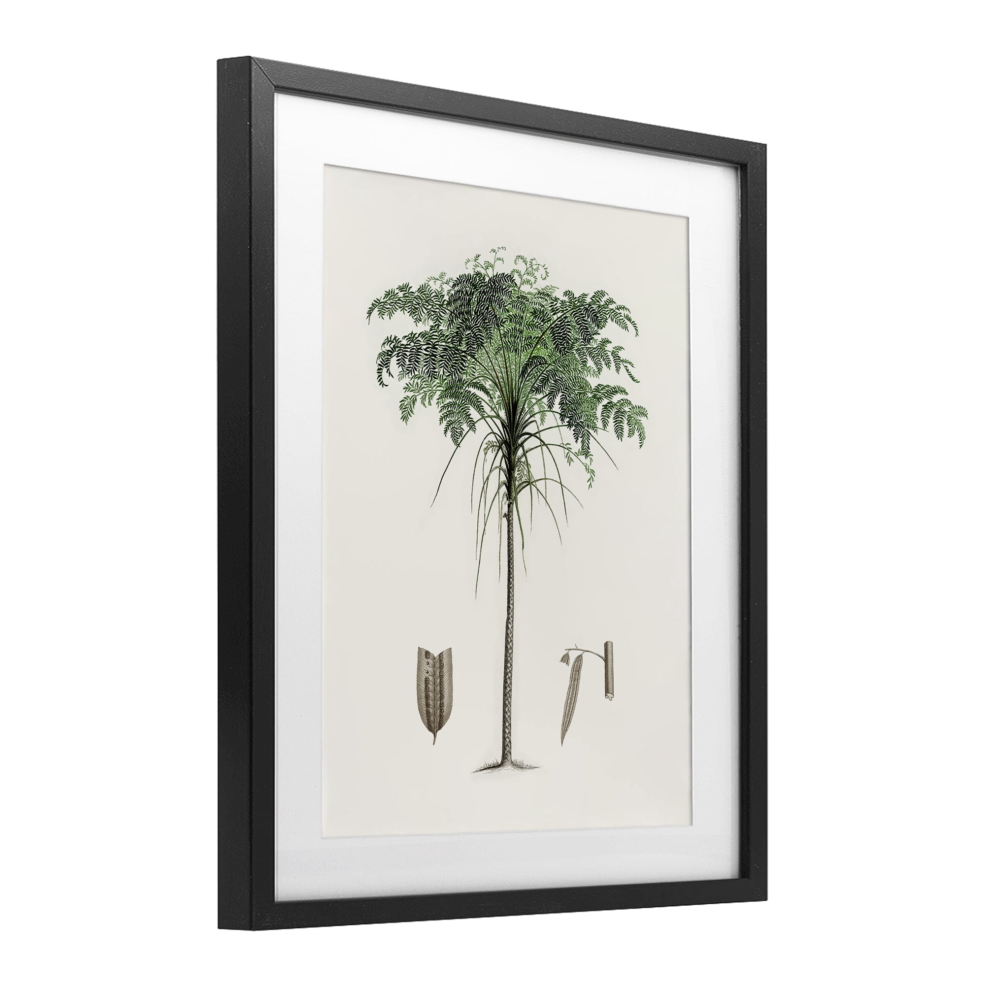 Stupell Industries Vintage Palm Leaves Black Framed Print Under Glass, design by Val Rhodes