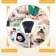 thumbnail image 5 of Collar de cono de perro suave para perros pequeños, medianos y grandes, collar de cono de perro isabelino para perros y gatos MFZFUKR CPB-CJZ1024-1, 5 of 6