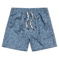 thumbnail image 1 of Pantalones Cortos De Natación Para Hombre Elásticos Con Cordones Secado Rápido Estampado De Moda Sueltos Casuales Pantalones Cortos De Playa Para Natación Para Hombres Gris L, 1 of 5