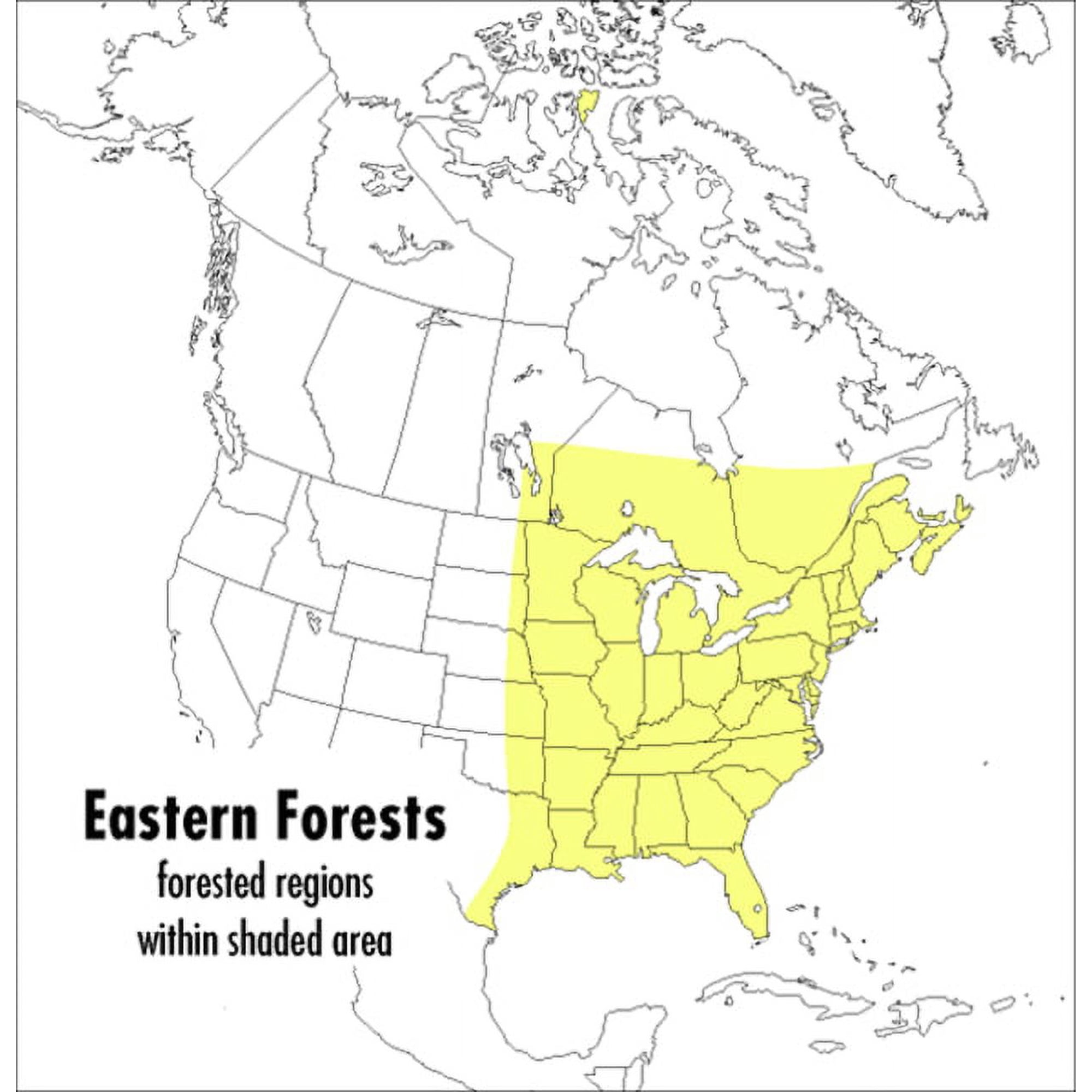 Peterson Field Guides A Peterson Field Guide to Eastern Forests: North America Book 37 (Paperback)