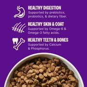 Wellness Complete Health Dry Dog Food, Wholesome Grains, Natural, Chicken & Oatmeal, (30-Pound Bag)