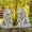 Antique Gray, variant on Zaer 21" Guardian Lion Garden Statue, 2 Count