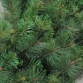 thumbnail image 2 of Northlight Real Touch™️ Canyon Mixed Pine Artificial Christmas Wreath - 60" - Unlit, 2 of 6