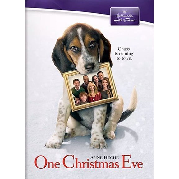 Hallmark - One Christmas Eve [DIGITAL VIDEO DISC]