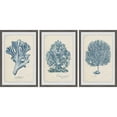 thumbnail image 2 of MARMONT HILL  - Handmade Sea Coral Study II Triptych - Multi-Color 3pcs of 20 x 30, 2 of 5