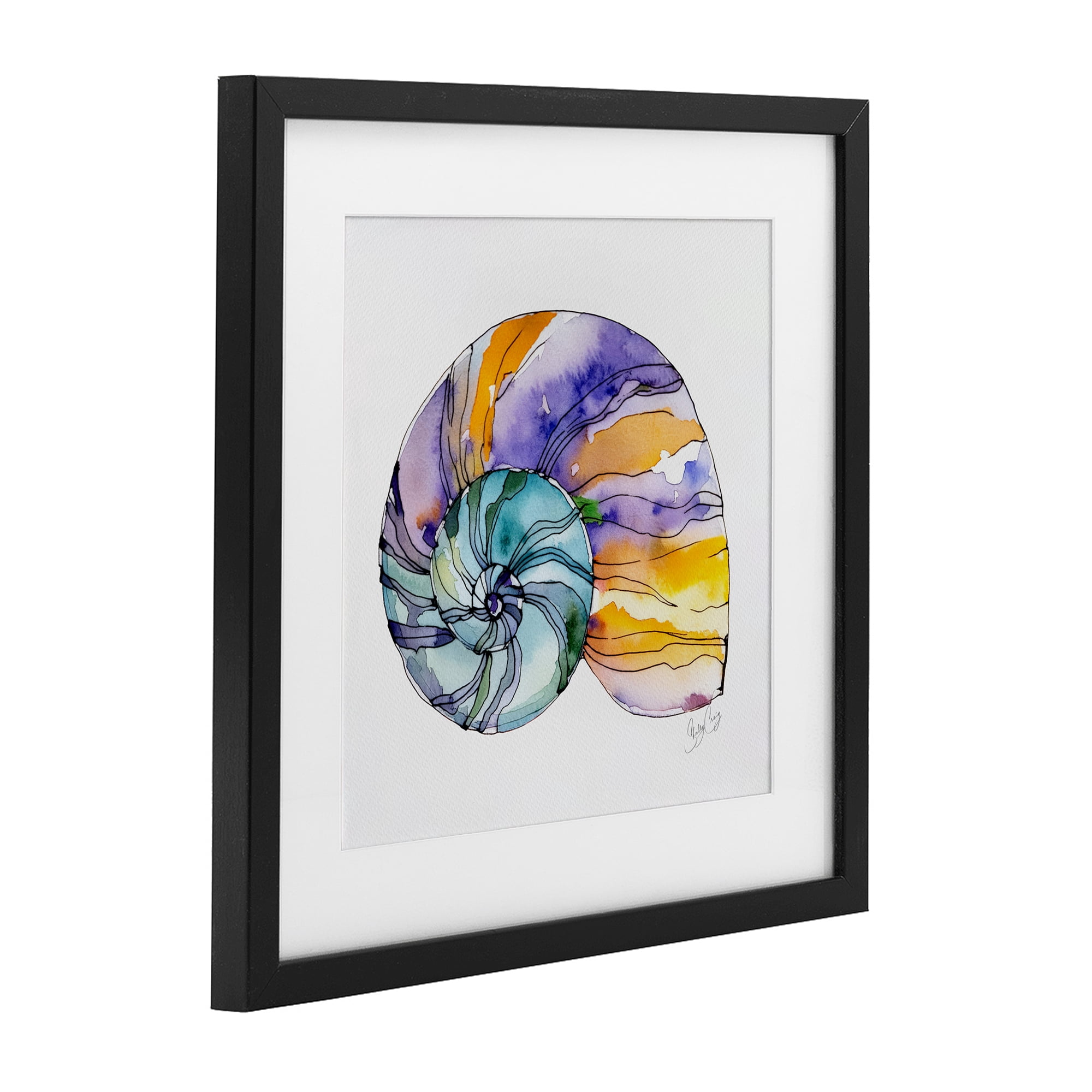 Stupell Industries Sunlit Striped Nautilus Black Framed Print Under Glass, design by Shelly Craig