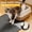 Dark Grey, variant on Silicone Cat Litter Trapping Mat, 34''x22'' Large Cat Litter Mat, Easy to Clean & Soft on Kitty Paws, Waterproof Kitty Litter Pads for Indoor Cats, Black