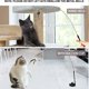 thumbnail image 3 of Feather Cat Toy, Cat Toy, Retractable Fishing Rod, Indoor Cat and Kitten Interaction, 3 of 3