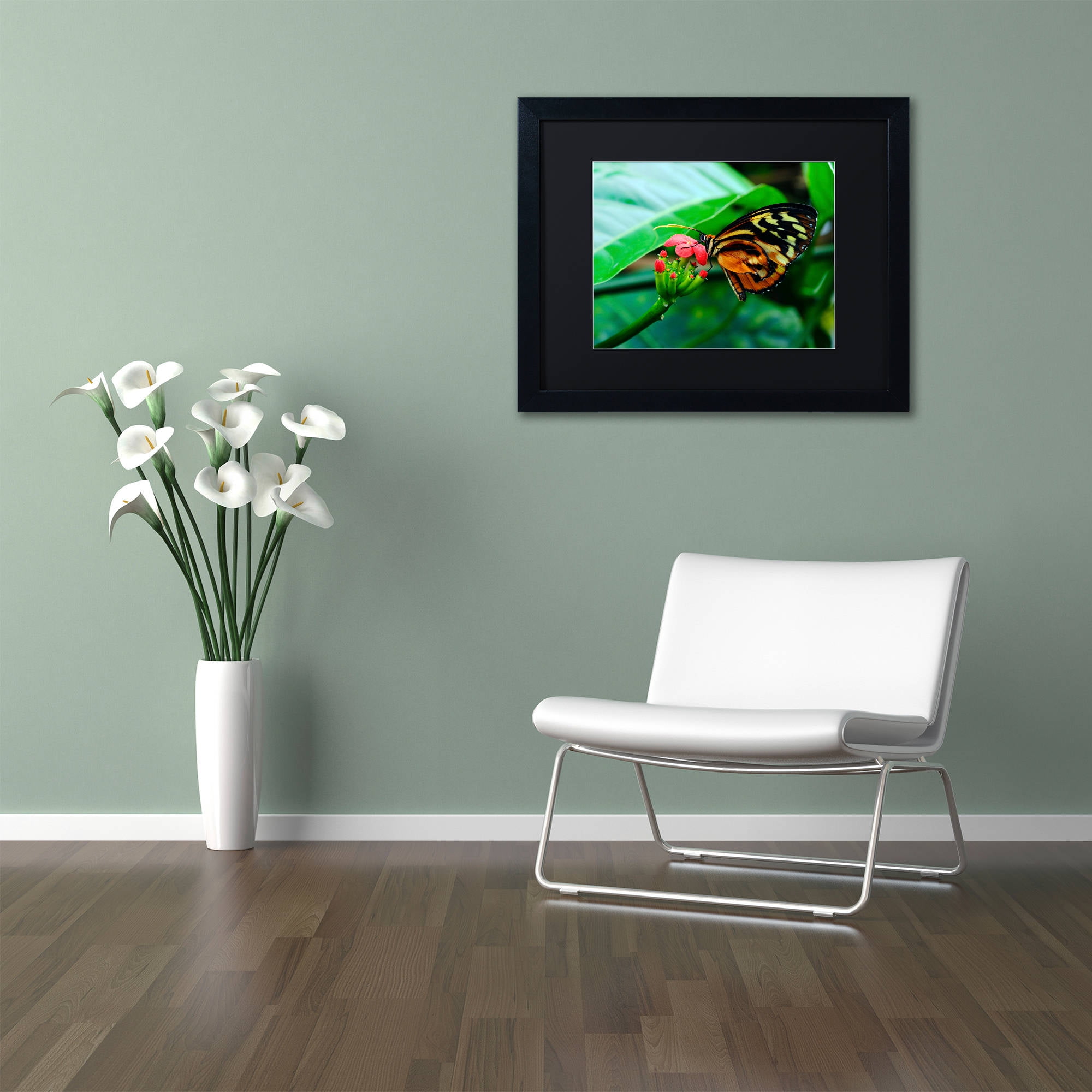 Trademark Fine Art "Cream Spotted Tigerwing" Canvas Art by Kurt Shaffer, Black Matte, Black Frame