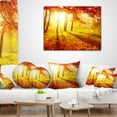 thumbnail image 4 of Designart Autumnal Park - Landscape Photography Throw Pillow - 16x16, 4 of 5