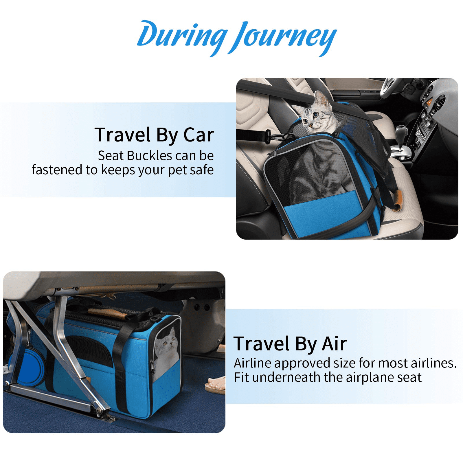 Morpilot Portable Cat Carrier - Soft Sided Cat Carrier for Medium Cats and  Puppy up to 15lbs, Pet Carrier with Locking Safety Zippers, Foldable Bowl