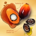 thumbnail image 5 of Cantu Ultra Moisture Nourishing Hair Mask with Batana Oil & Jamaican Black Castor Oil, 10 oz, 5 of 12