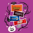 thumbnail image 6 of Hershey All Time Greats Chocolate Assortment Snack Size Candy, 15.92 oz, Variety Bag (30 Pieces), 6 of 6