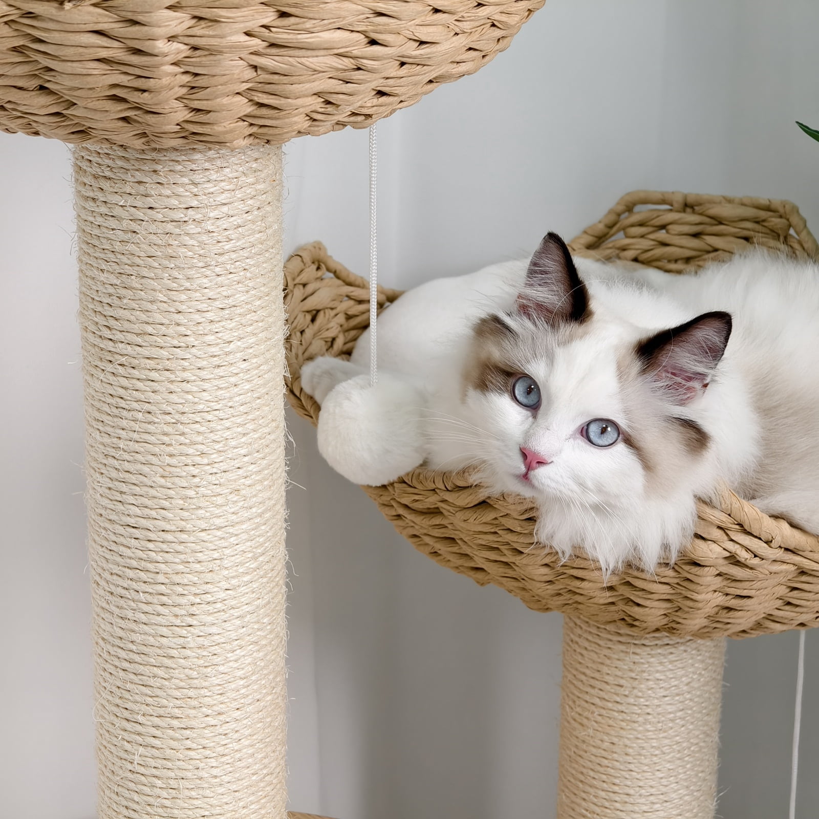 BingoPaw Wood Cat Tower Tree 3-tier Cat House Tree Activity Tower Condo Furniture with Plush Cushion