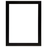 Frame USA Simply Poly Posterframe (12 x 16 inches)