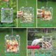 thumbnail image 2 of Juguete de forraje para loros, alimentador acrílico transparente divertido, caja de jaula para pájaros de crecimiento de inteligencia de gran Suministros de alimentación y agua para Talla pequeña Greeniant PT004433-02, 2 of 6