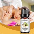 thumbnail image 1 of Fiudx Ofertas relámpago del día Acete aromaterapia para aliviar la fatiga, 10 ml, limoncillo, 1 of 7