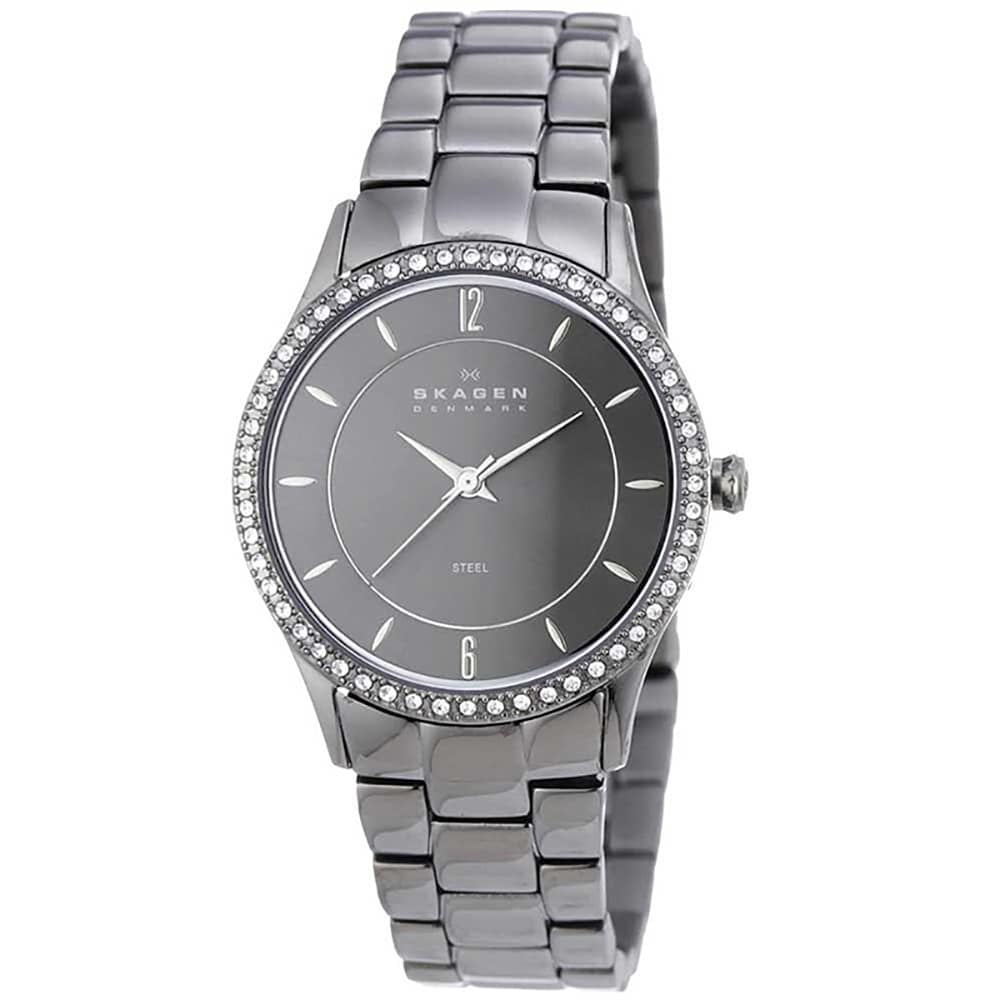 skagen skw6399