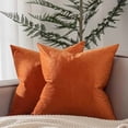 thumbnail image 1 of Chenchen Decorative Pillow Covers Set of 2 22x22 Velvet Throw Pillow Covers for Couch Sofa Bed Soft Cushion Covers Cases with Hidden Zipper for Living Room Home Decor,Burnt Orange, 1 of 1