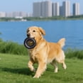 thumbnail image 3 of Ainf Chew For Aggressive Chewers Heavy Duty Rubber Tire For Medium Large, 3 of 5