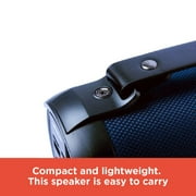 RadioShack True Wireless Stereo Outdoor Speaker 9 Watts, Blue with FM Radio