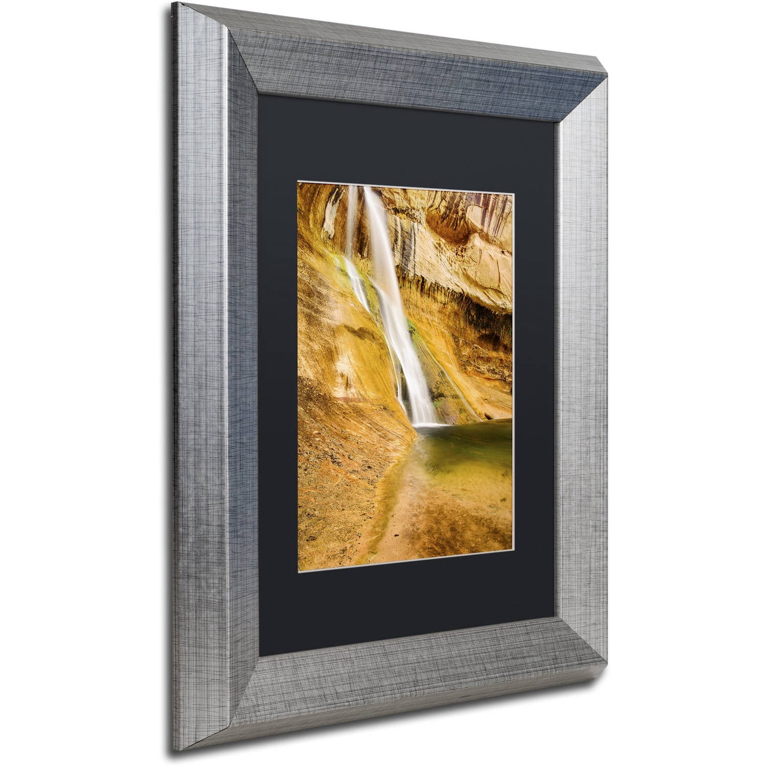 Trademark Fine Art "Desert Oasis" Canvas Art by Michael Blanchette Photography Black Matte, Silver Frame