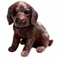 thumbnail image 1 of Michael Carr Designs MCD80101 Fudge Chocolate Labrador Puppy, Small, 1 of 4
