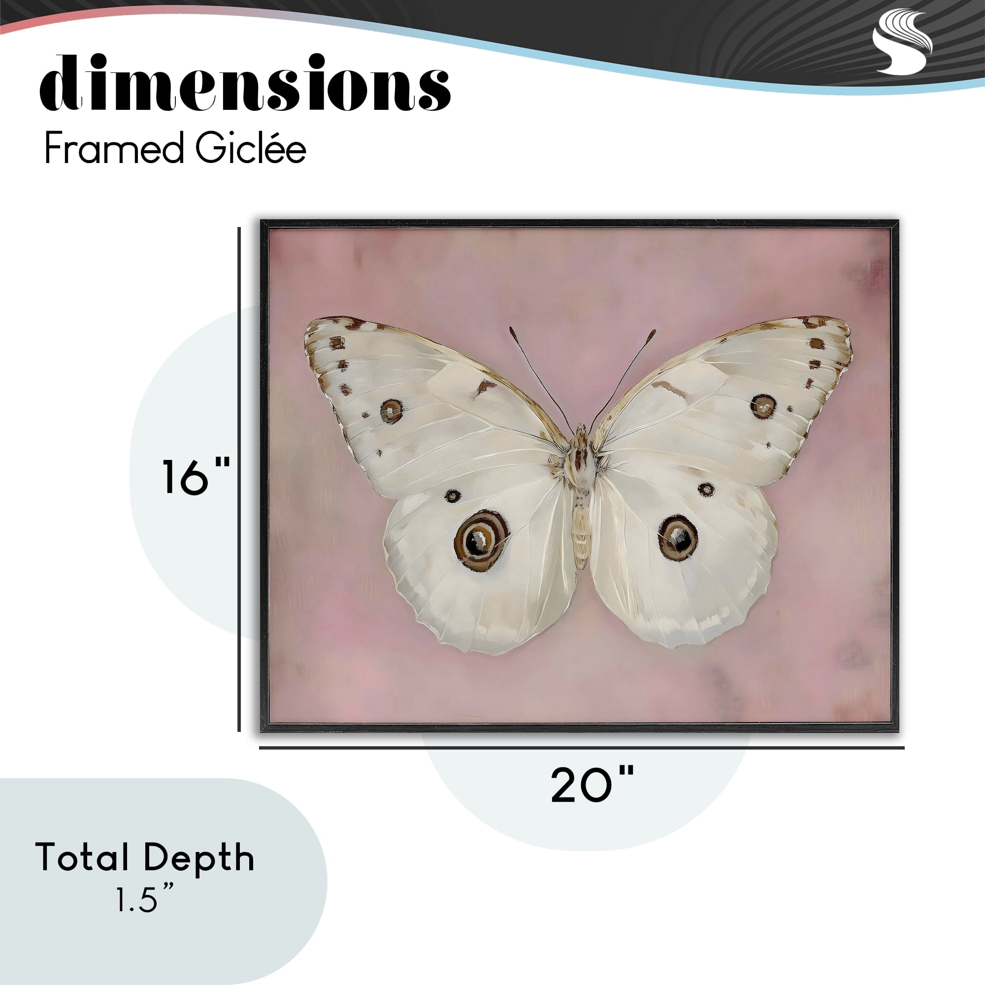 Stupell Industries Gossamer Butterfly on Blush Background Black Framed Giclee Art, design by Arlington Prints