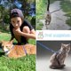 thumbnail image 5 of Pack Adjustable Nylon Cat Harness (Blue Black) Soft Cat Harness with Leash for Kittens Puppy Rabbit, 5 of 5