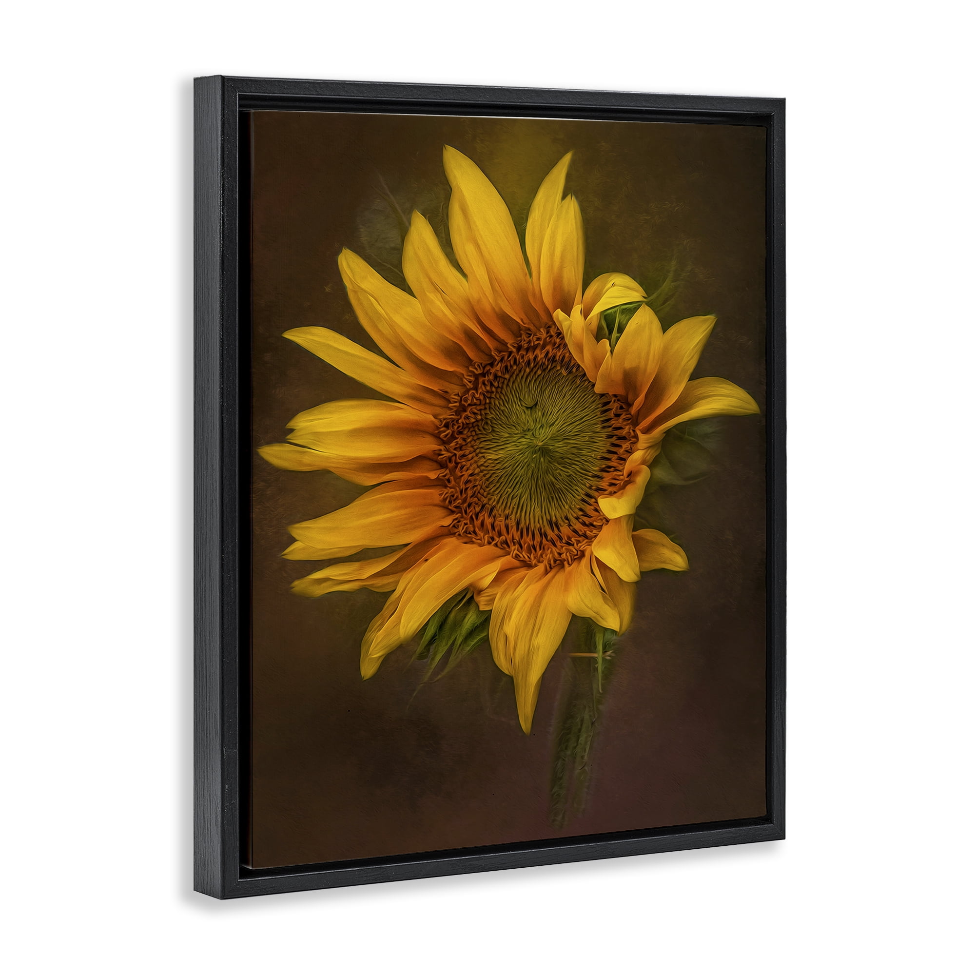 Stupell Industries Curling Petals Sunflower Plants & Flowers Painting Black Floater Framed Canvas Art Print Wall Art, 17 x 21