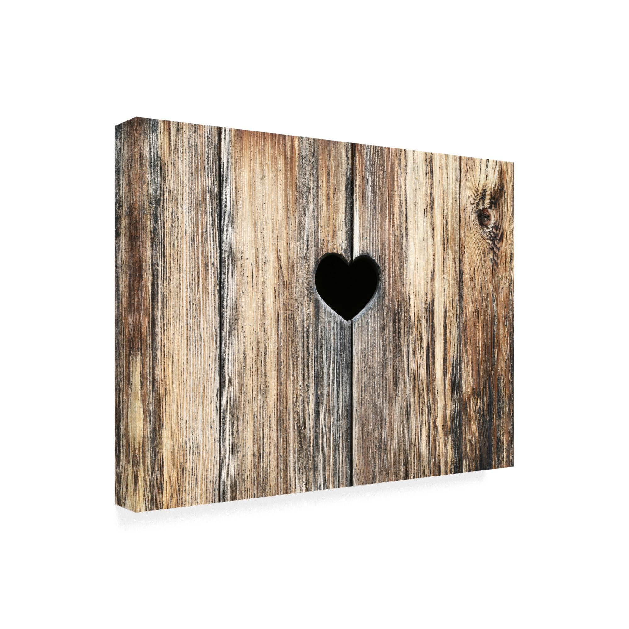 Trademark Fine Art 'Heart in Wood' Canvas Art by Brooke T. Ryan