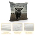 thumbnail image 4 of Orinice Bull Field Clouds Graphic Decorative Throw Pillow Cover for Home Couch Living Room Bed Sofa Zipper Closure Pillow Case 1PC 12x12in, 4 of 5