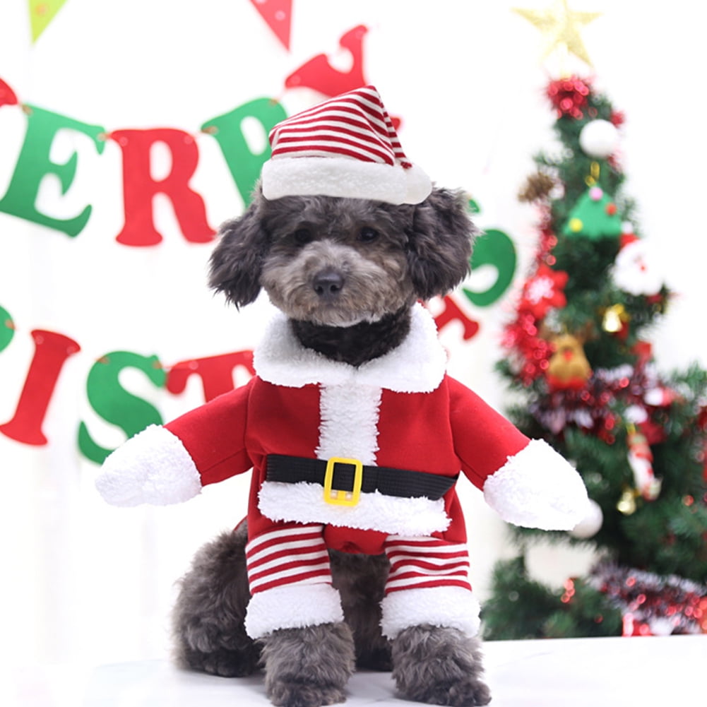 cute christmas costumes