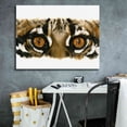 thumbnail image 5 of Epic Graffiti 'Eye Catching Ocelot' by Barbara Keith, Canvas Wall Art, 34"x26", 5 of 8