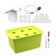 thumbnail image 1 of Sistema de cultivo hidropónico Caja de gabinete 6 agujeros Balcón Cultivo de vegetales Kit de tanque Tomshoo Verde, 1 of 7