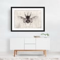 thumbnail image 2 of Eupatorus Gracilicornis - Drawing Vintage Black and White Nature Botanical Line Art Black Framed Wall Art Print 16 x 24 inches, 2 of 4